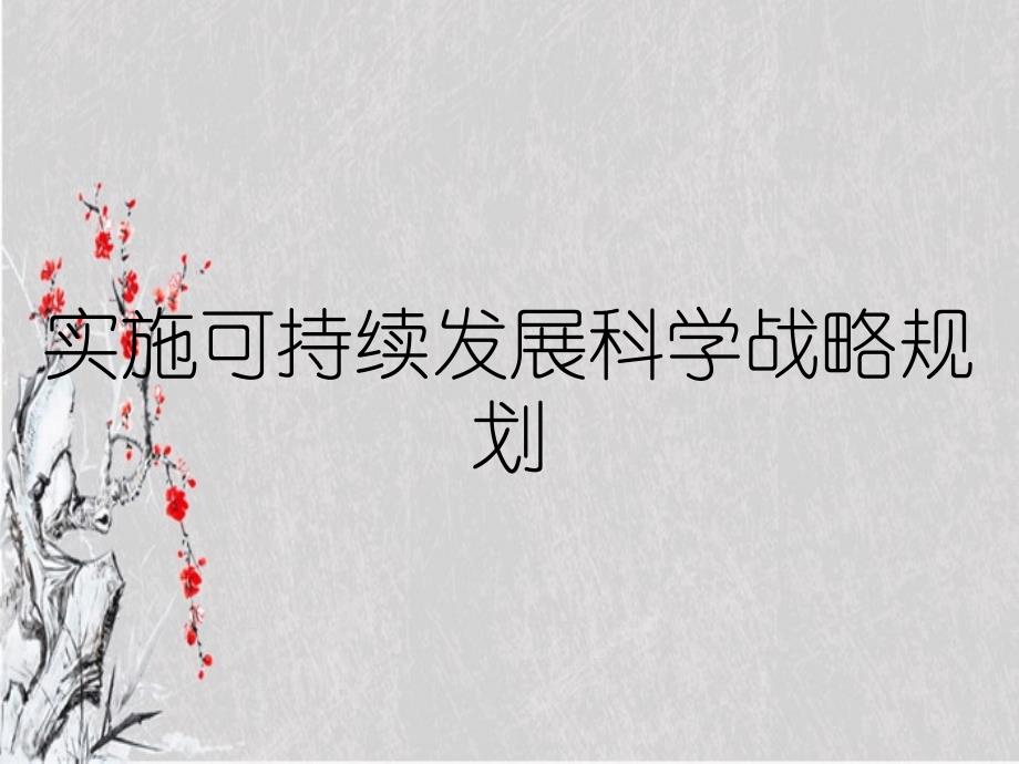 实施可持续发展科学战略规划_第1页