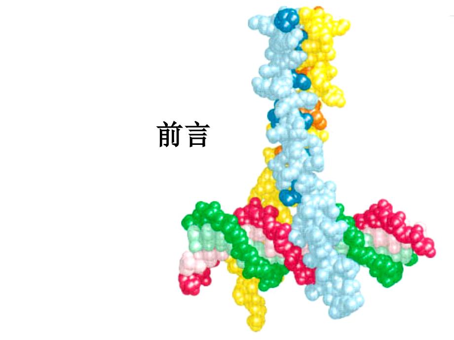 分子生物学课件：第六章 原核生物基因表达调控_第2页