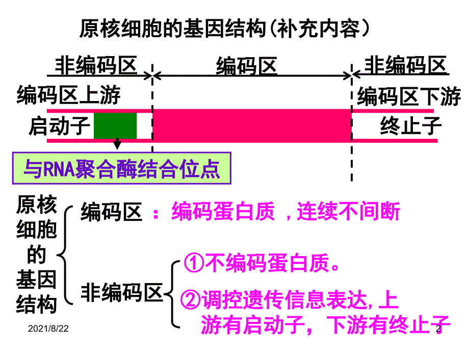 1.2基因工程的基本操作程序新人教版选修3推荐课件_第2页