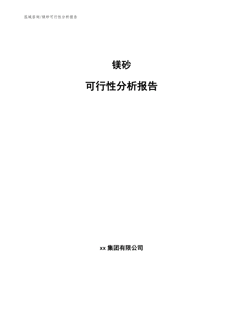 镁砂可行性分析报告_第1页