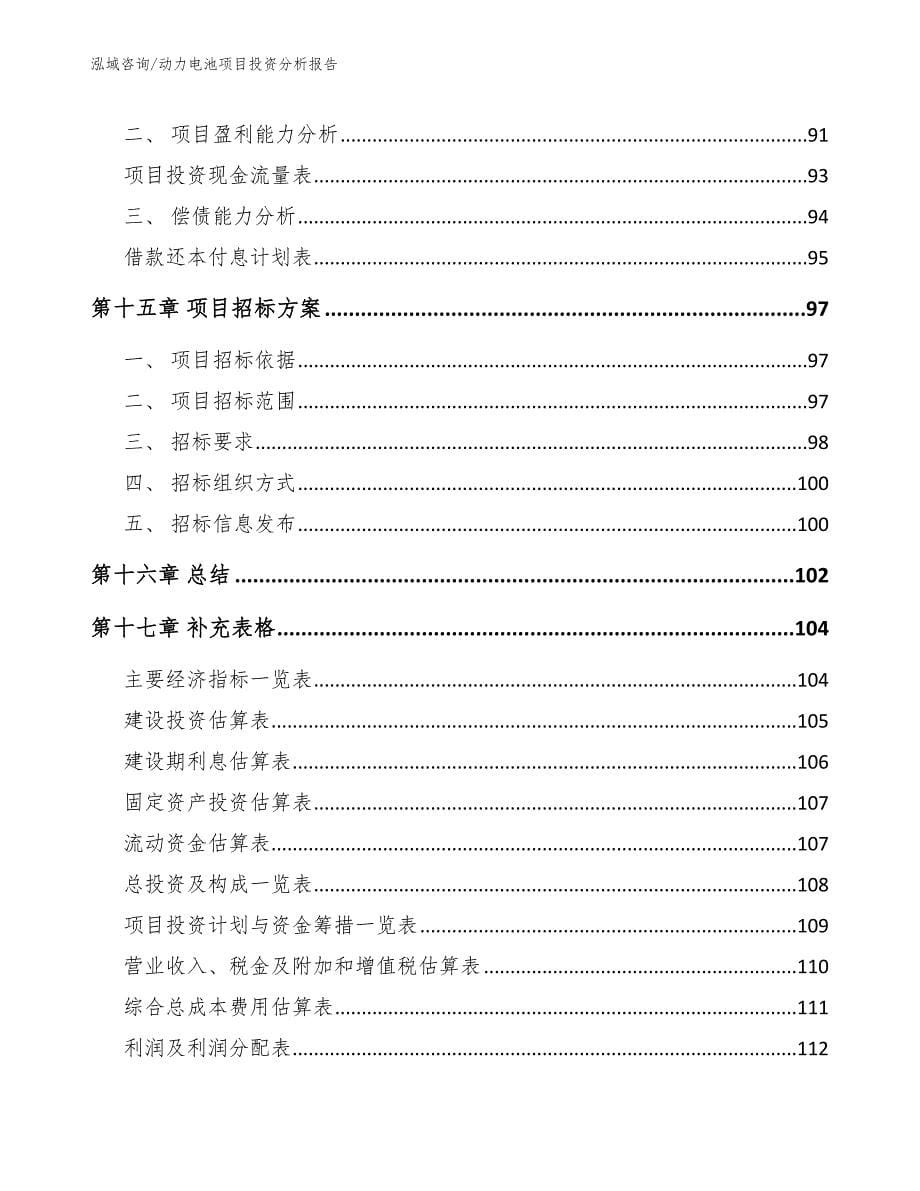 动力电池项目投资分析报告范文_第5页