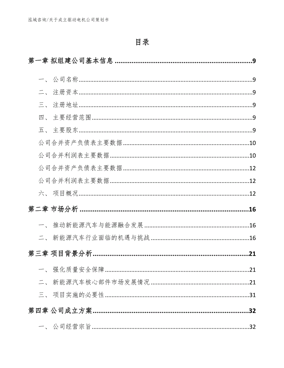 关于成立驱动电机公司策划书模板范文_第4页