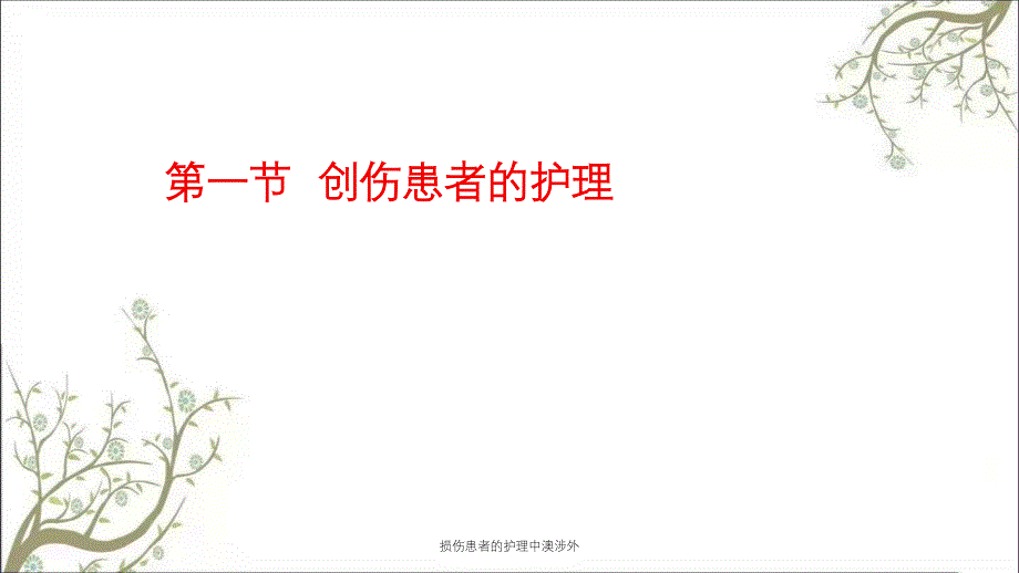 损伤患者的护理中澳涉外_第3页