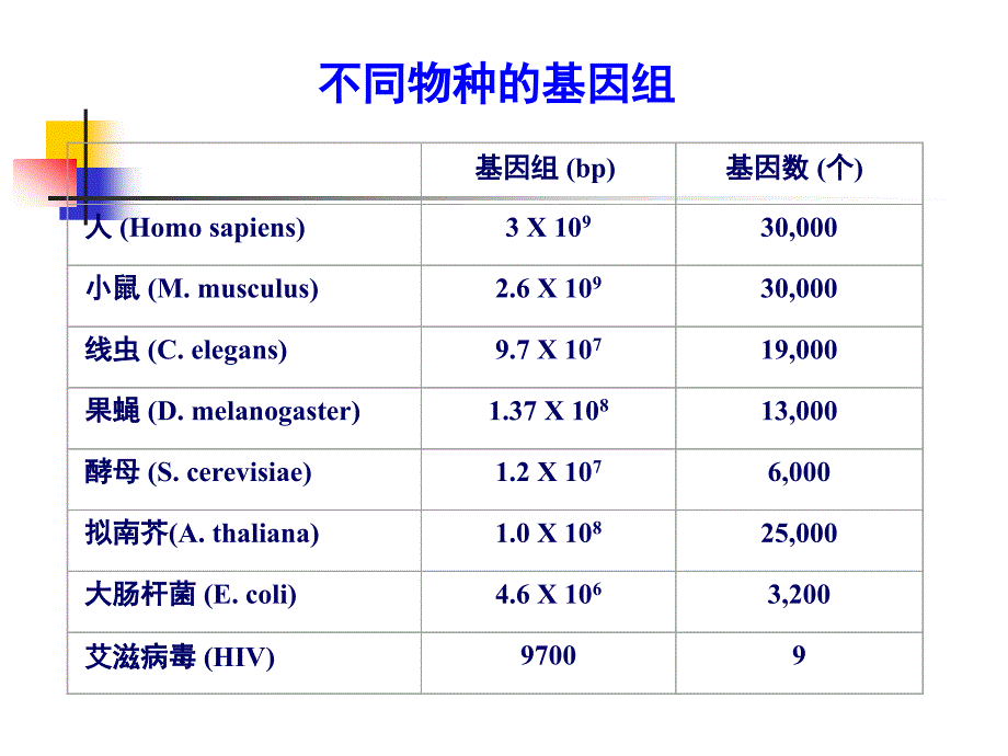 基因组结构与功能2_第4页