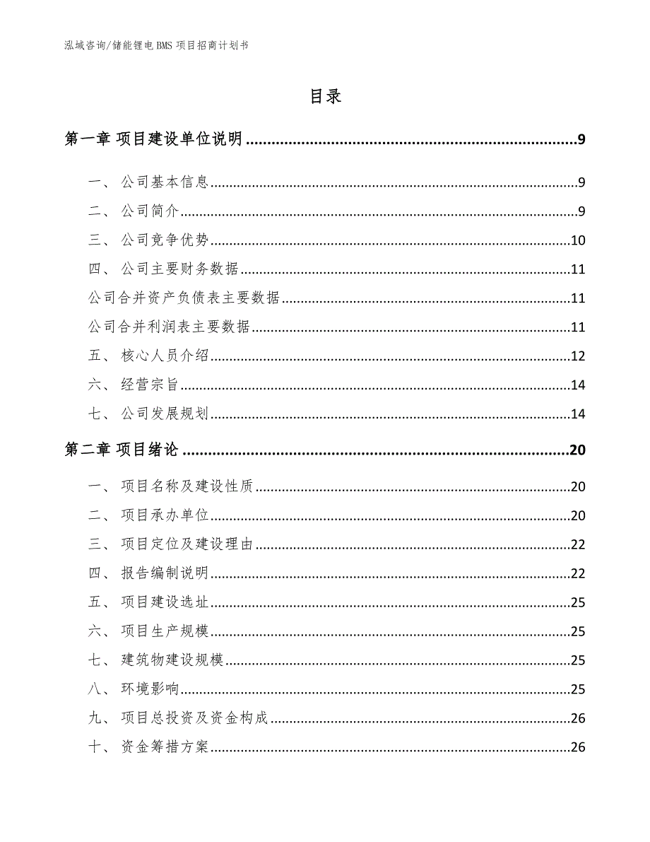 储能锂电BMS项目招商计划书_第2页