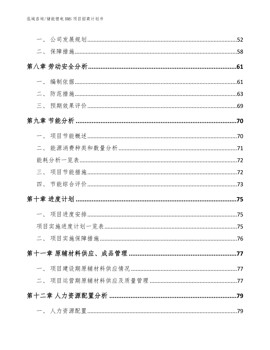 储能锂电BMS项目招商计划书_第4页