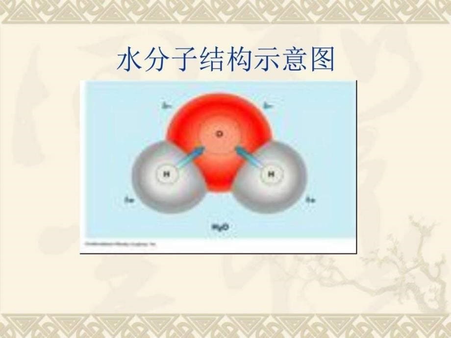 11.1与三角形有关的线段1539740930.ppt_第5页