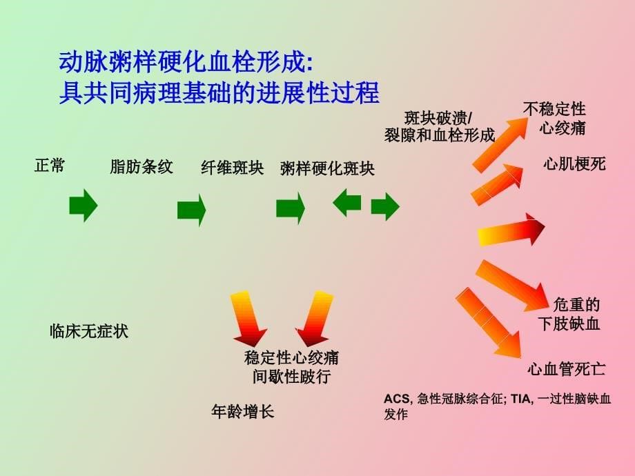 肢动脉硬化闭塞_第5页