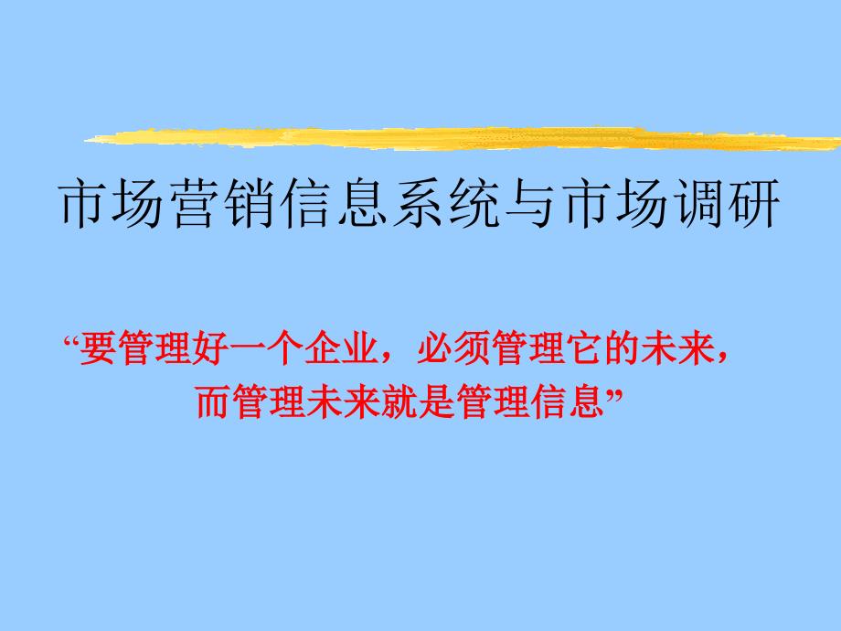 市场营销信息系统与市场调研 报告_第1页