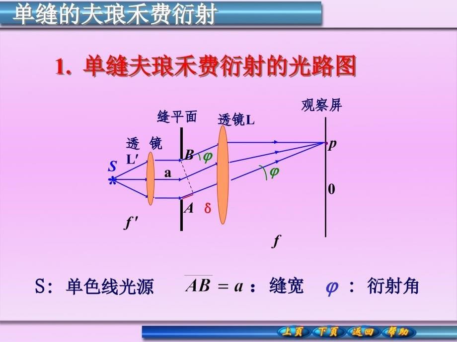 光的衍射与偏振课件_第5页