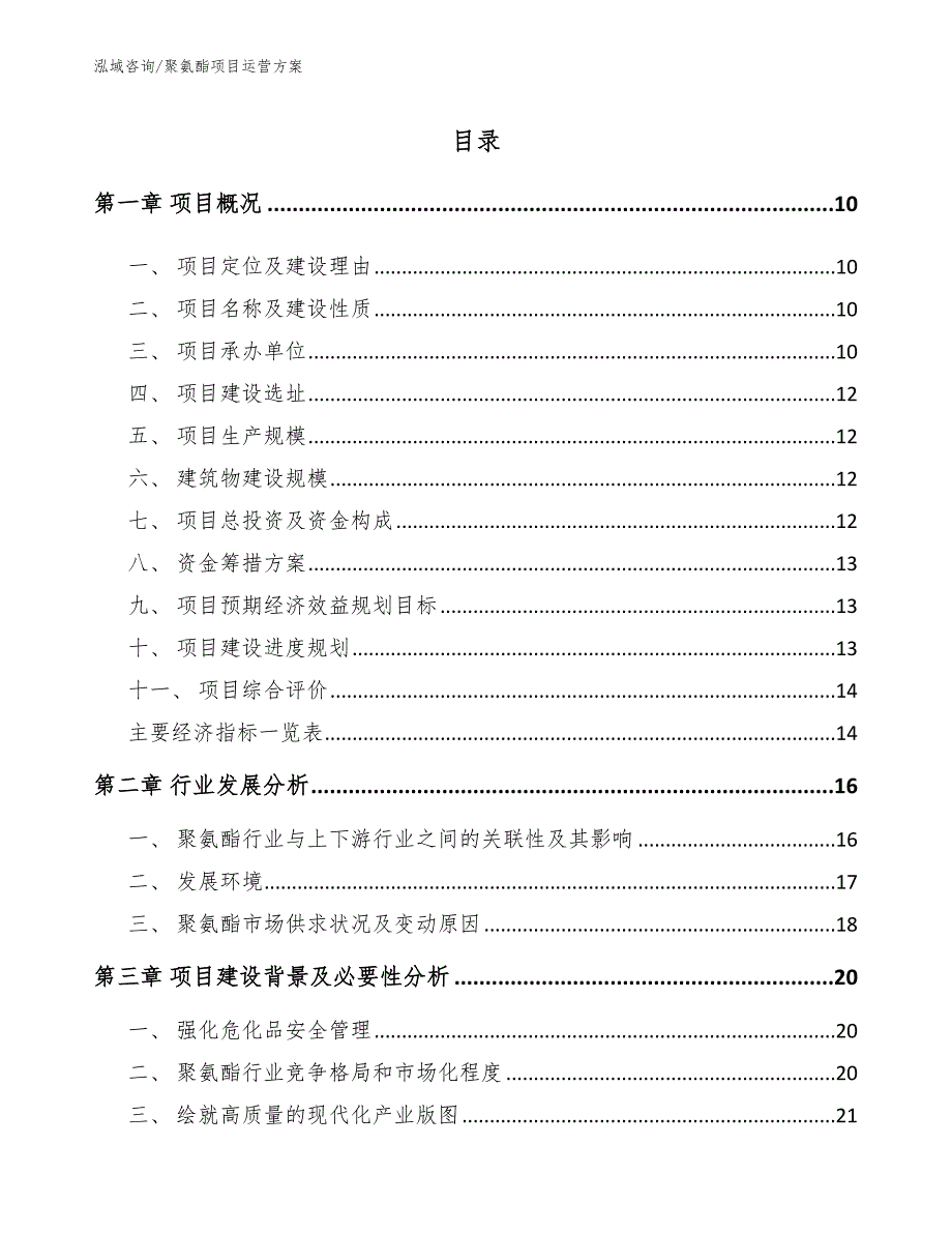 聚氨酯项目运营方案模板_第2页