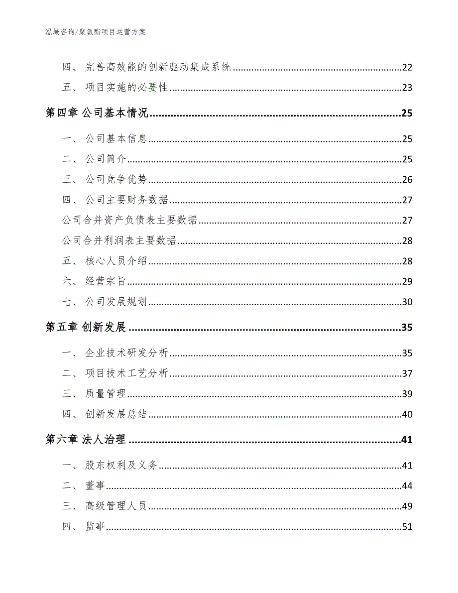 聚氨酯项目运营方案模板_第3页