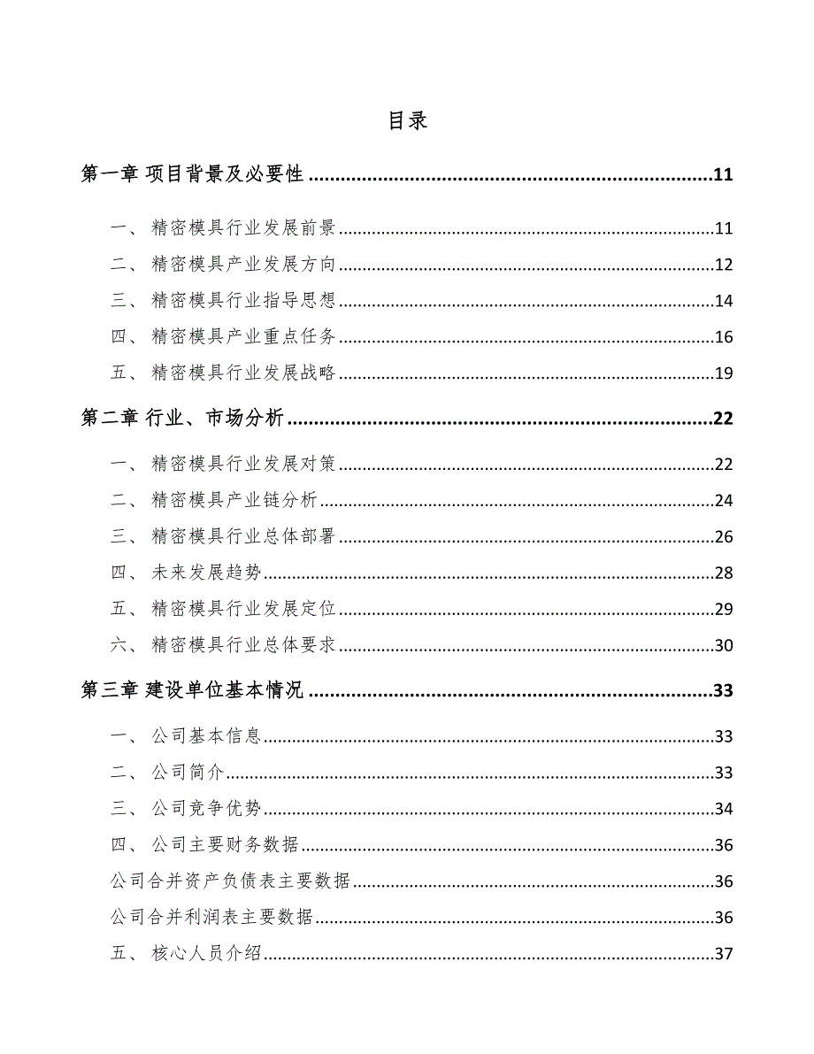 高效率精密模具生产线项目建议书【模板范文】_第4页