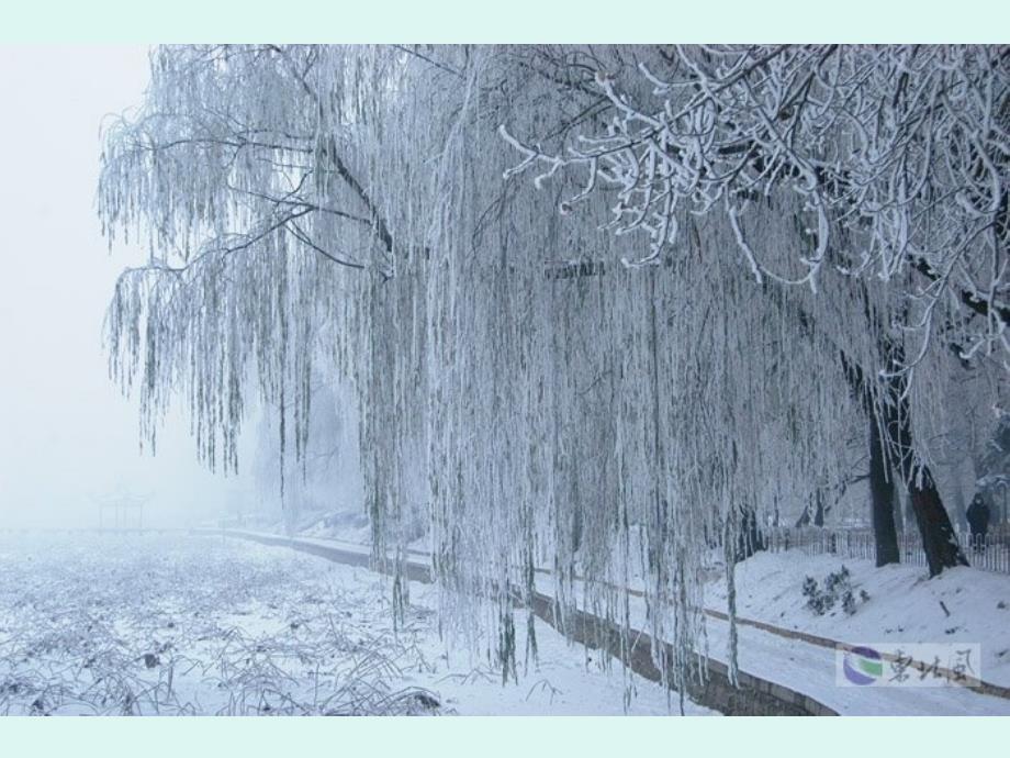 好《雪地里的小画家》课件_第3页