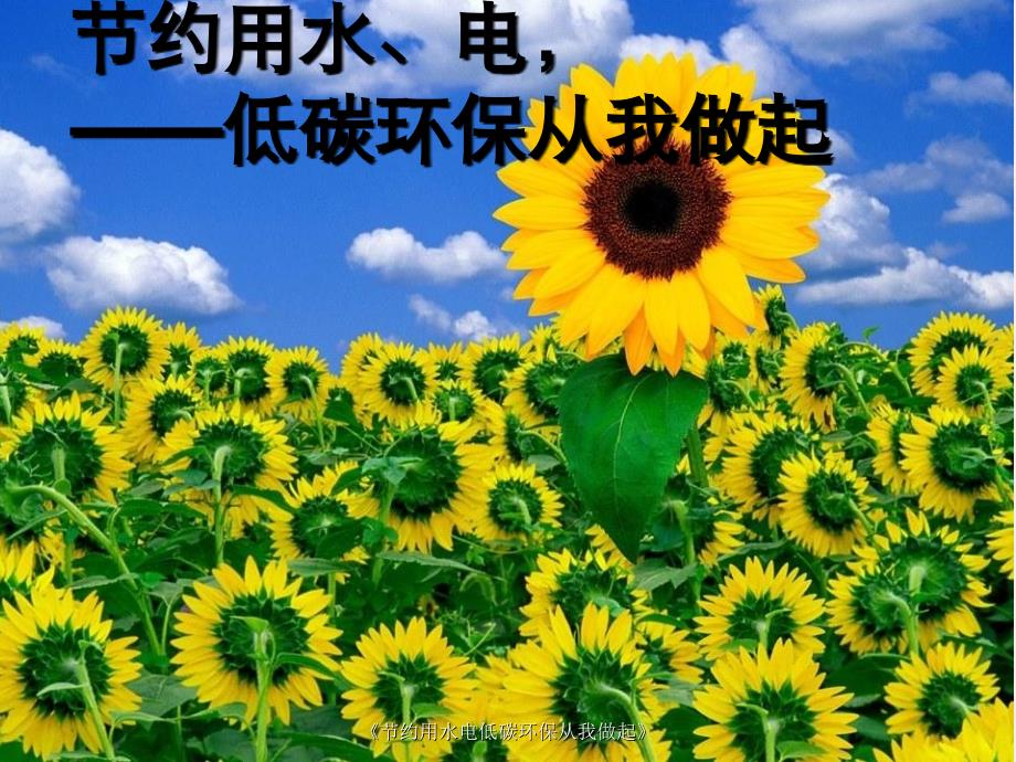 节约用水电低碳环保从我做起_第1页