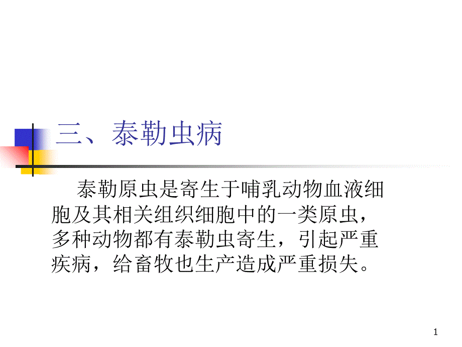 泰勒虫病演示PPT_第1页