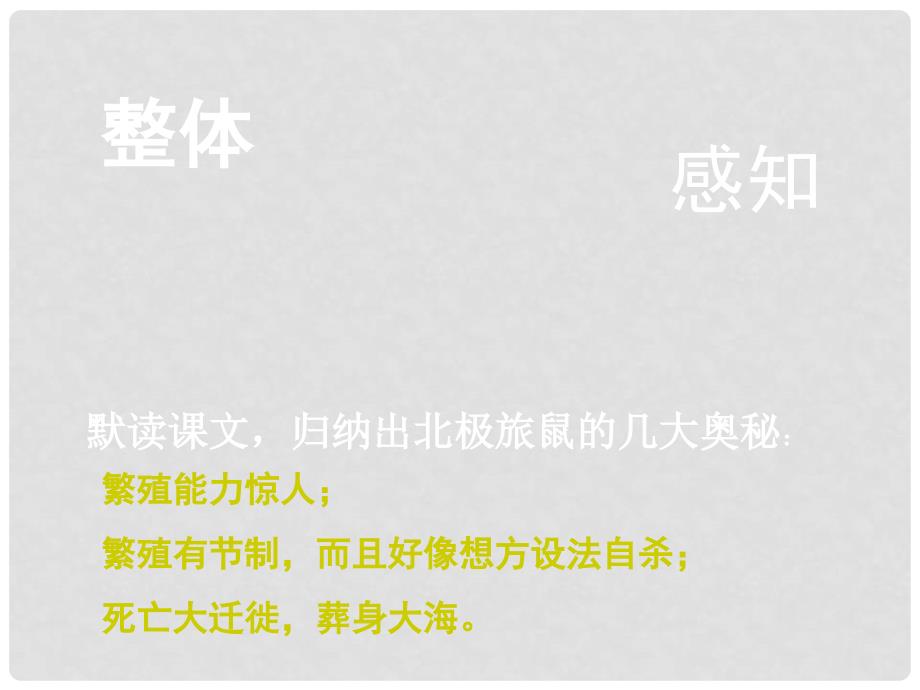 湖南省郴州市第八中学八年级语文下册 第三单元 13《旅鼠之谜》课件1 新人教版_第4页