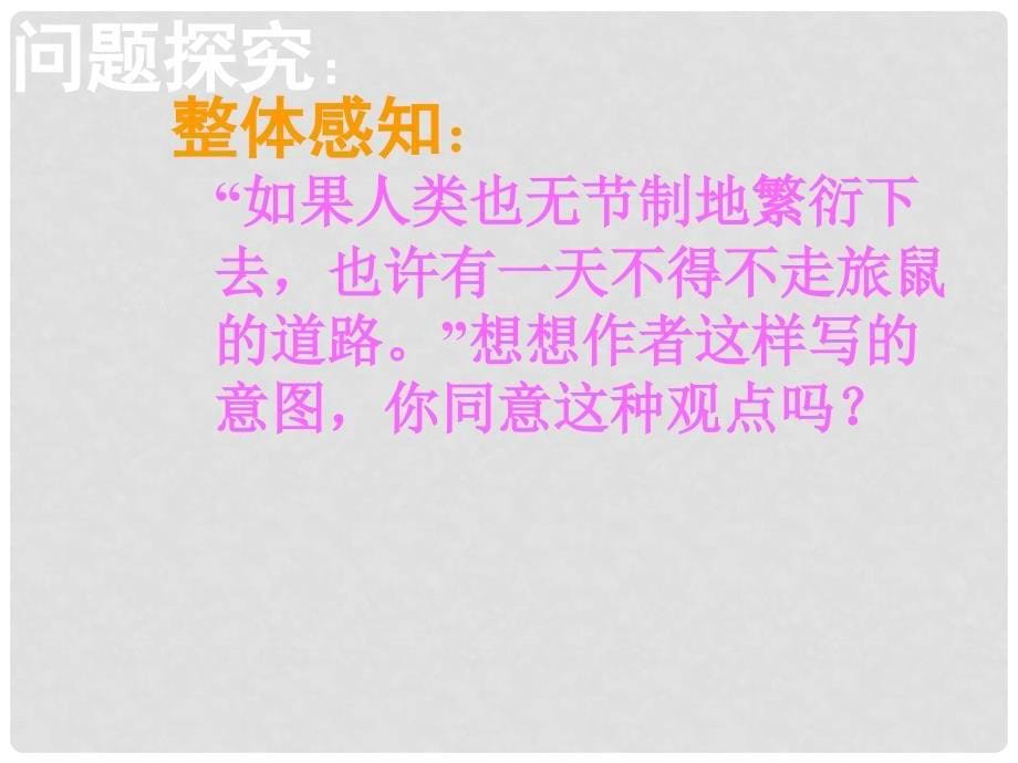 湖南省郴州市第八中学八年级语文下册 第三单元 13《旅鼠之谜》课件1 新人教版_第5页