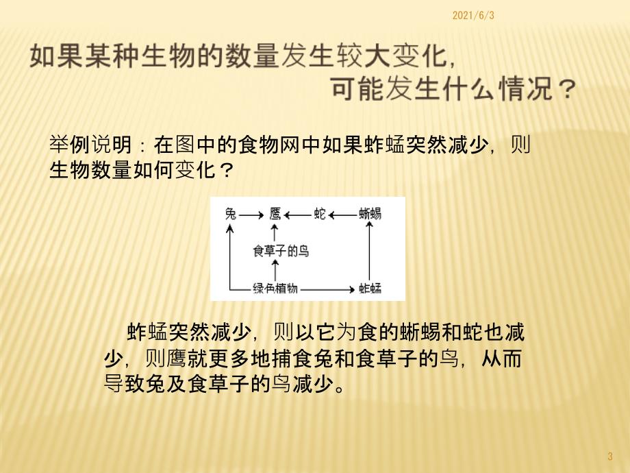 食物链的稳定性_第3页