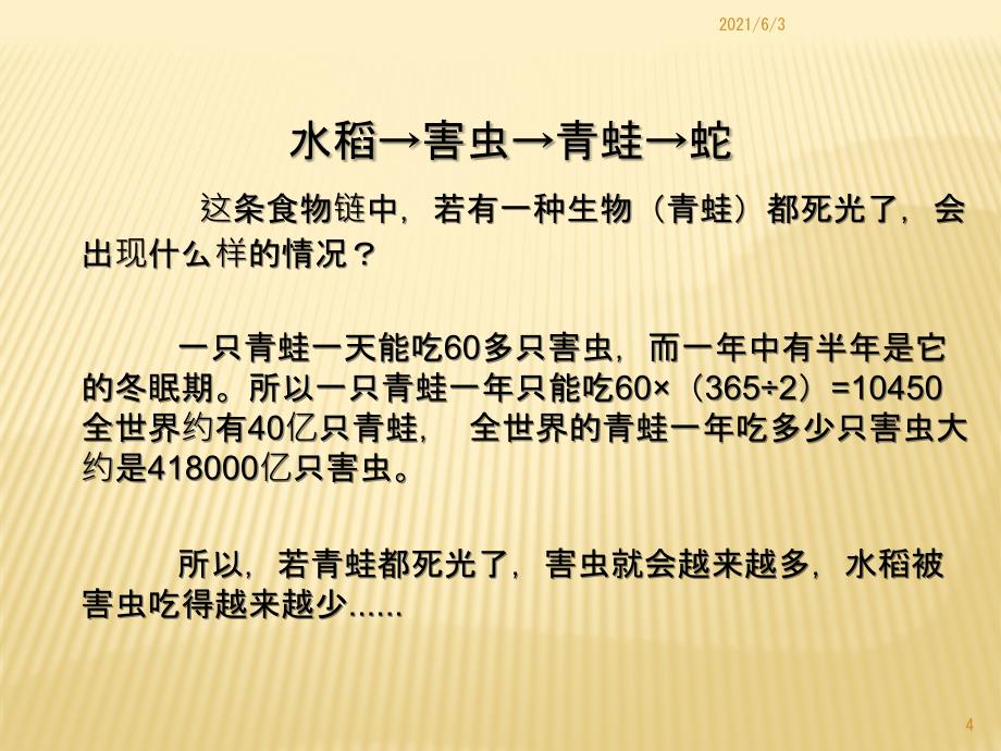 食物链的稳定性_第4页