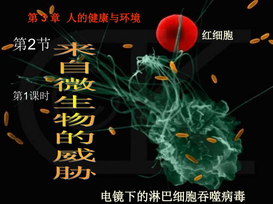 来自微生物的威胁第课时_第1页
