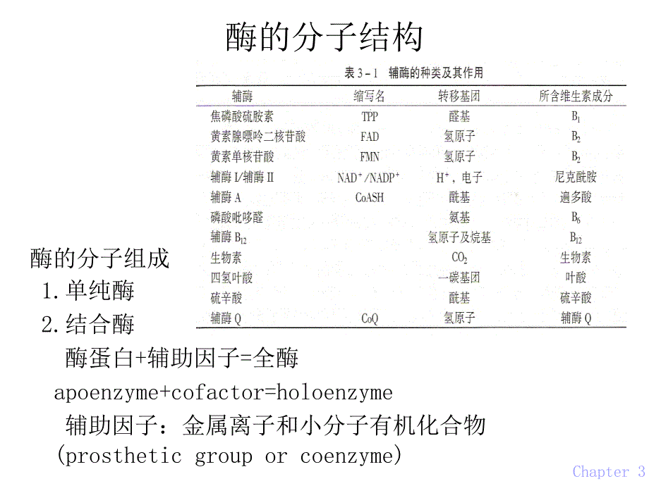 第03章酶ppt课件名师编辑PPT课件_第3页