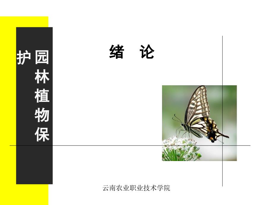 园林植物病虫害防治在园林绿化中的重要性_第1页