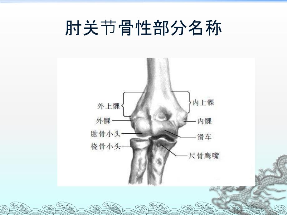 肘关节的解剖PPT课件_第3页