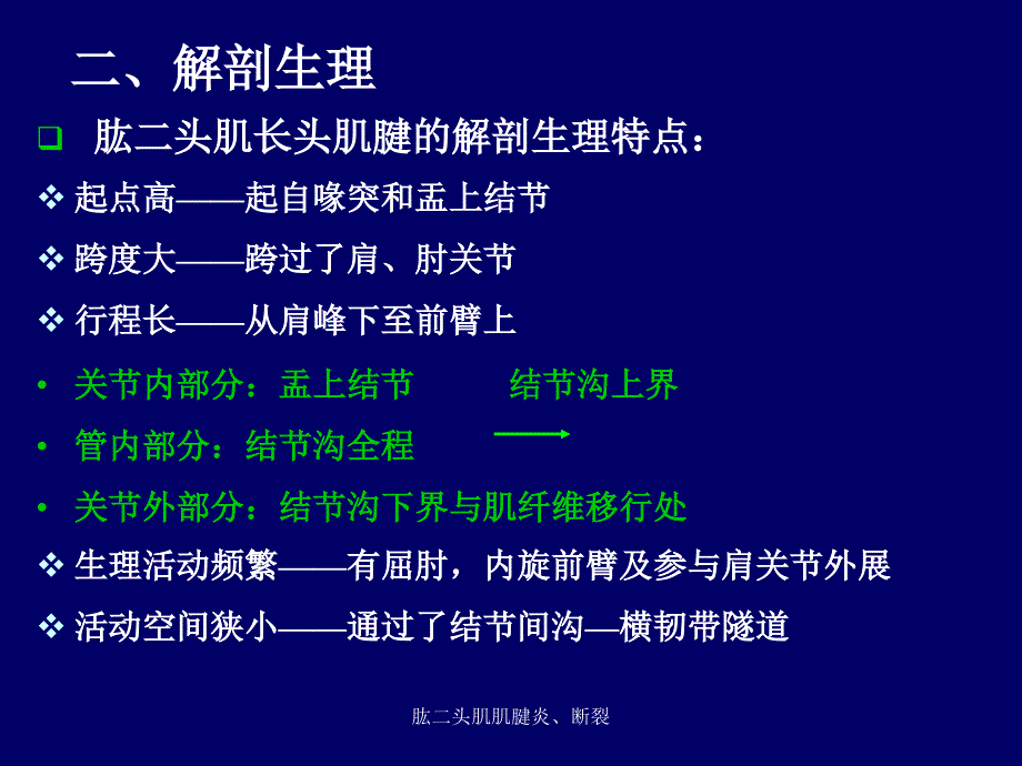 最新肱二头肌肌腱炎断裂_第4页