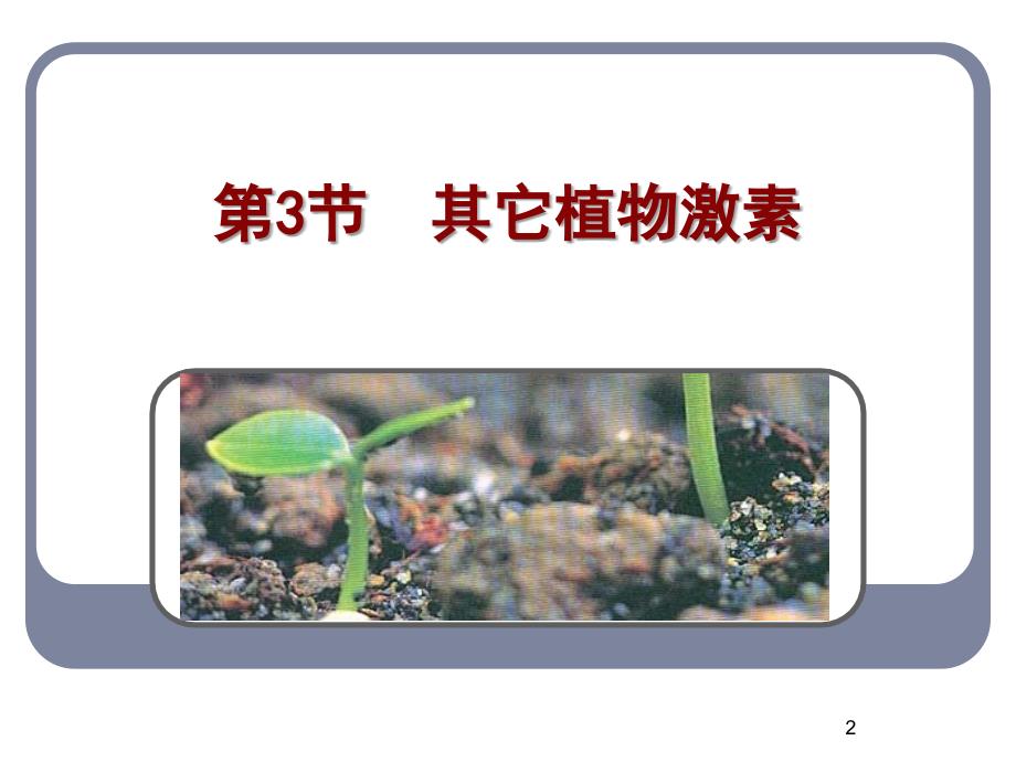 人教版教学课件其它植物激素课件_第2页