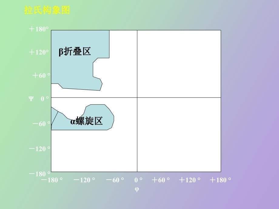 蛋白质空间结构_第5页