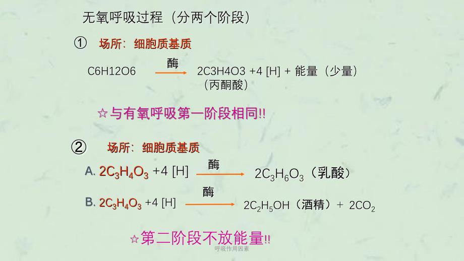 呼吸作用因素课件_第4页