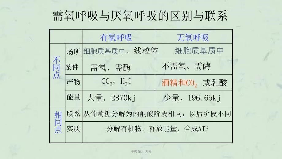 呼吸作用因素课件_第5页