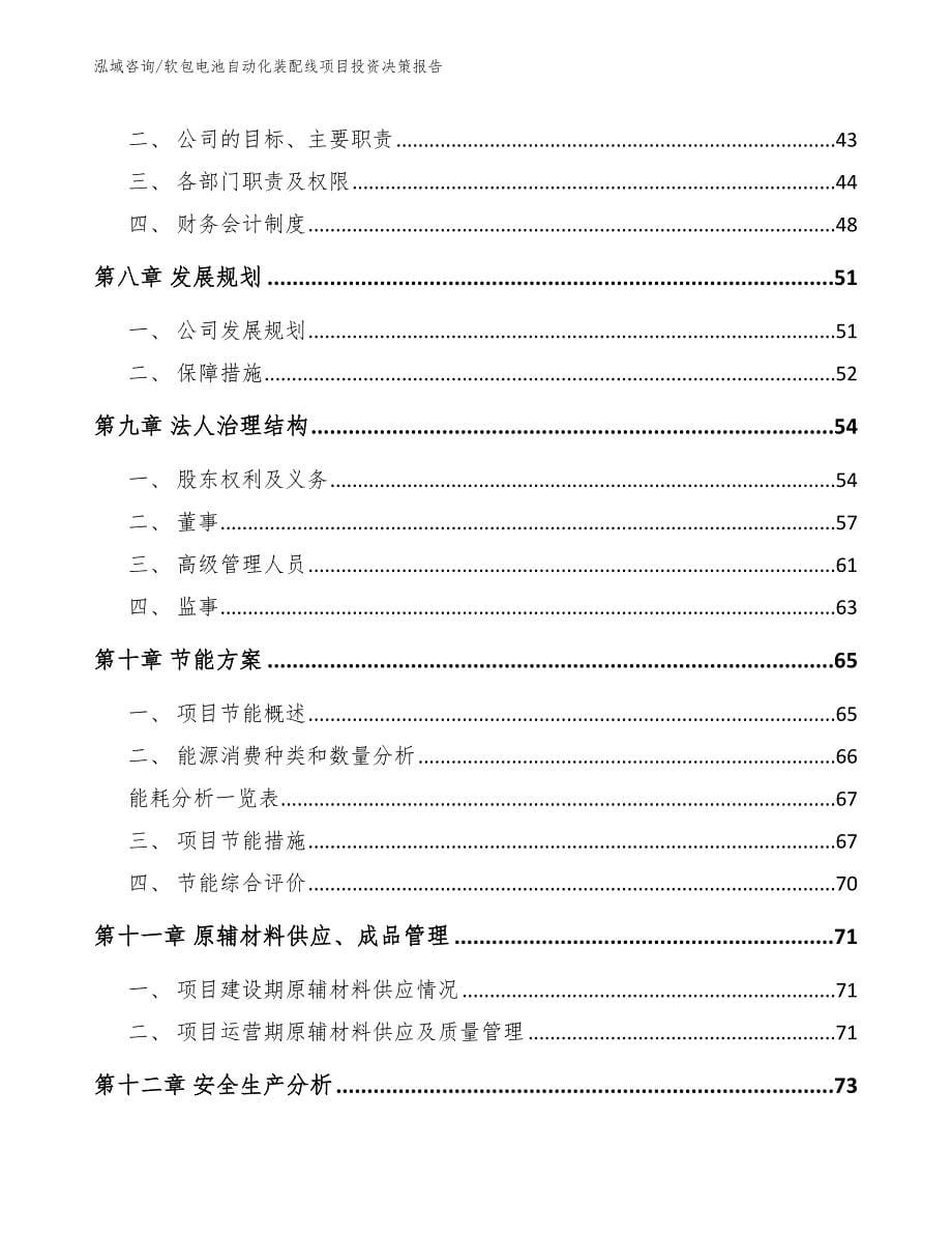 软包电池自动化装配线项目投资决策报告参考范文_第5页