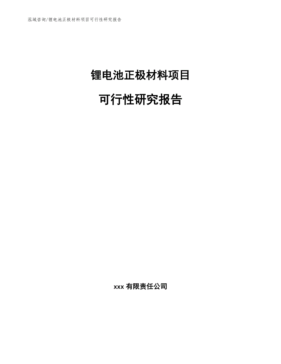 锂电池正极材料项目可行性研究报告模板范文_第1页