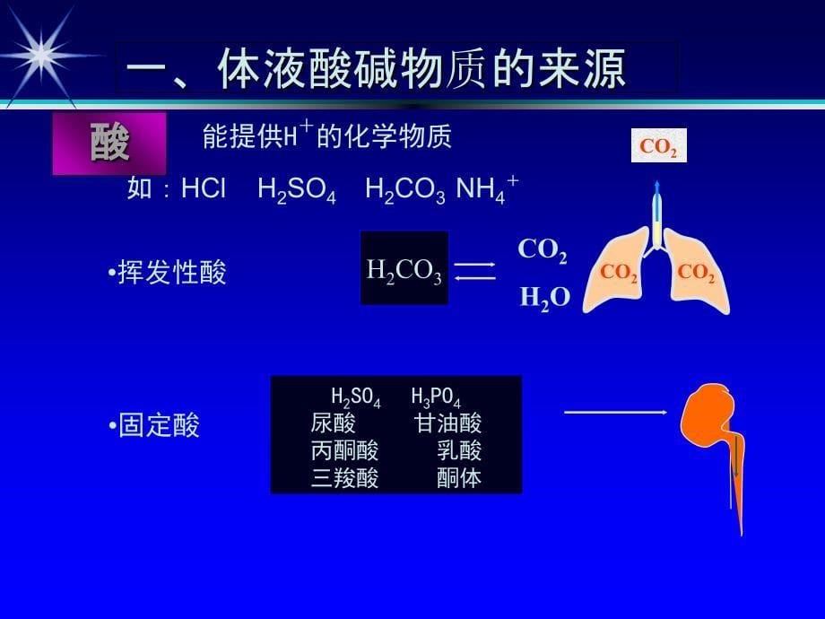 徐州医学院酸碱失衡课件_第5页