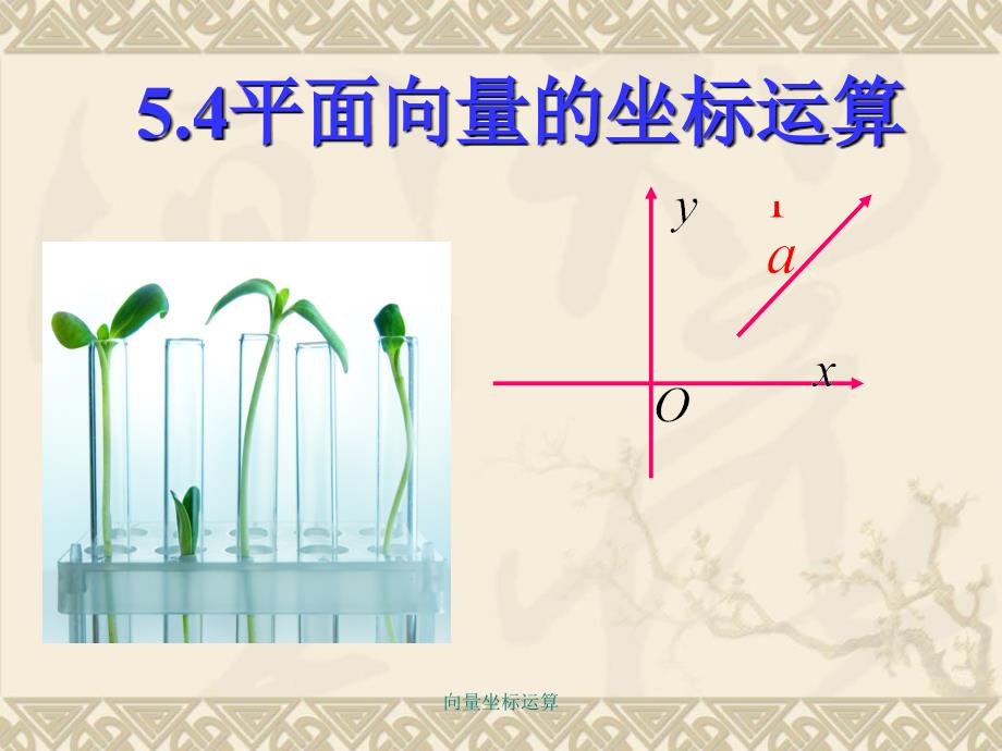 向量坐标运算课件_第1页