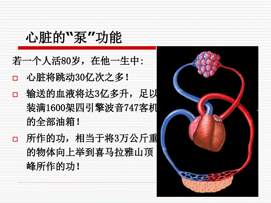 病理生理学课件心力衰竭.ppt_第2页