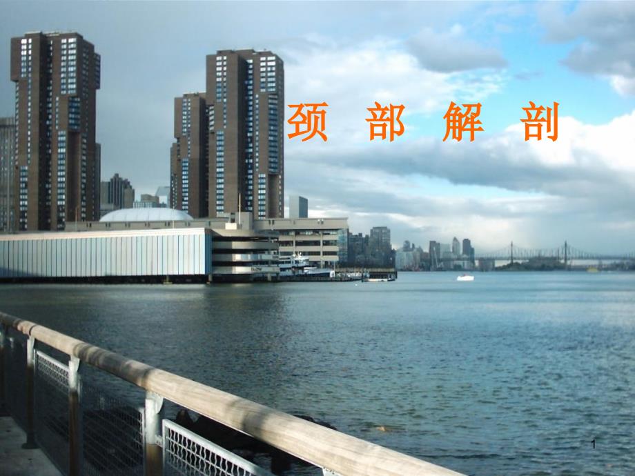 颈部肌肉神经血管详解课件_第1页