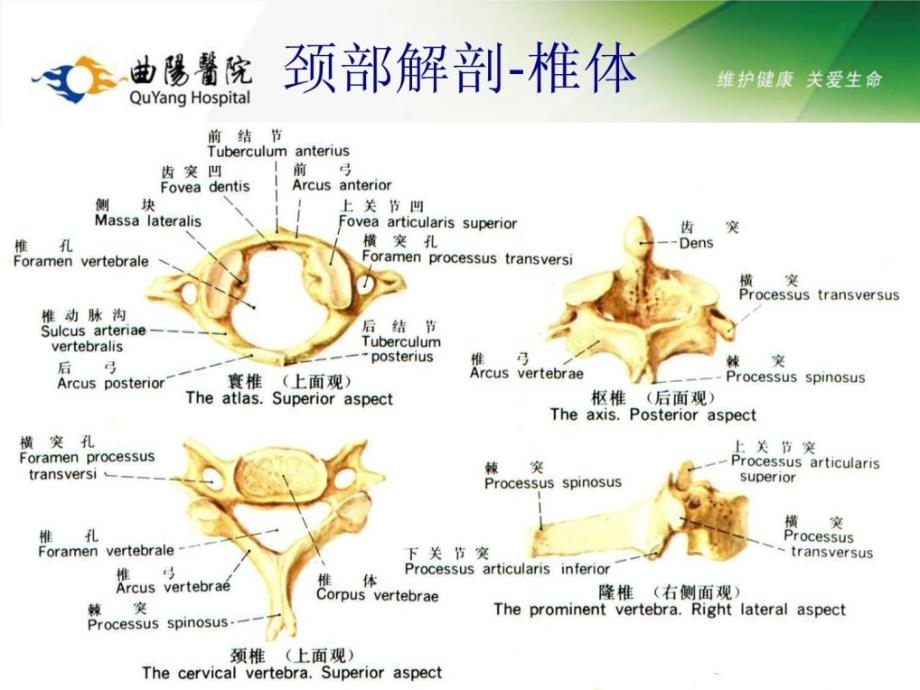 精品]颈椎病的诊治思路_第4页