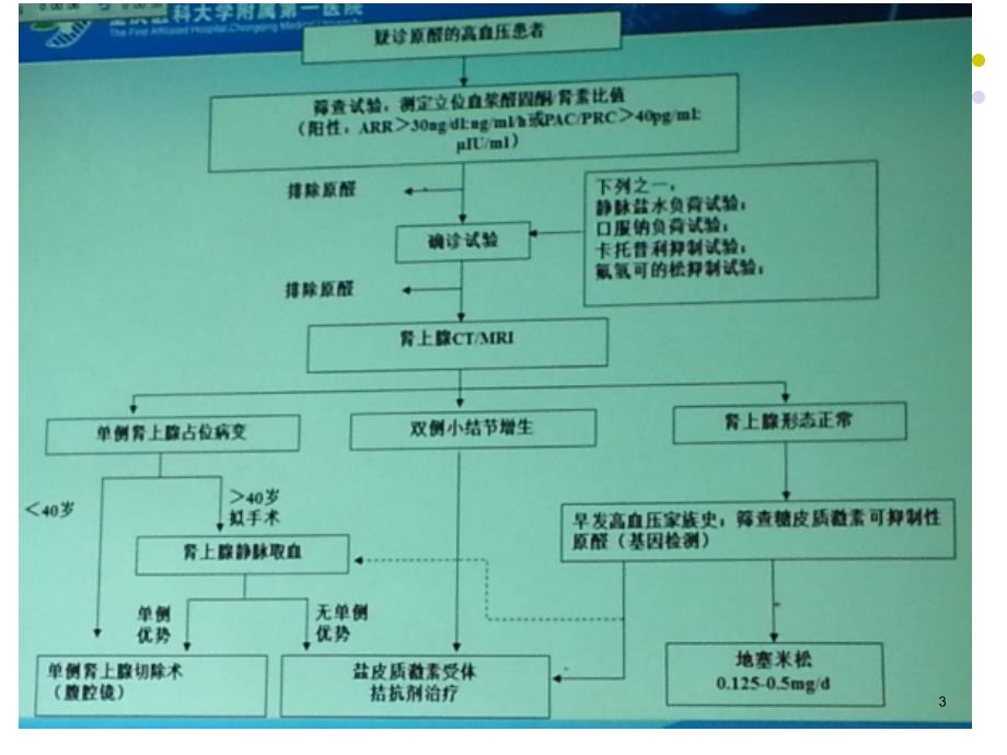 医学课件分侧肾上腺静脉取_第3页