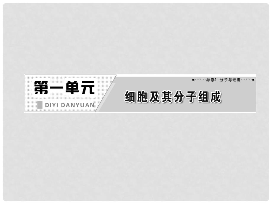 高中生物一轮复习 第一单元 第三讲生命活动的主要承担者—蛋白质课件 新人教版必修1_第2页