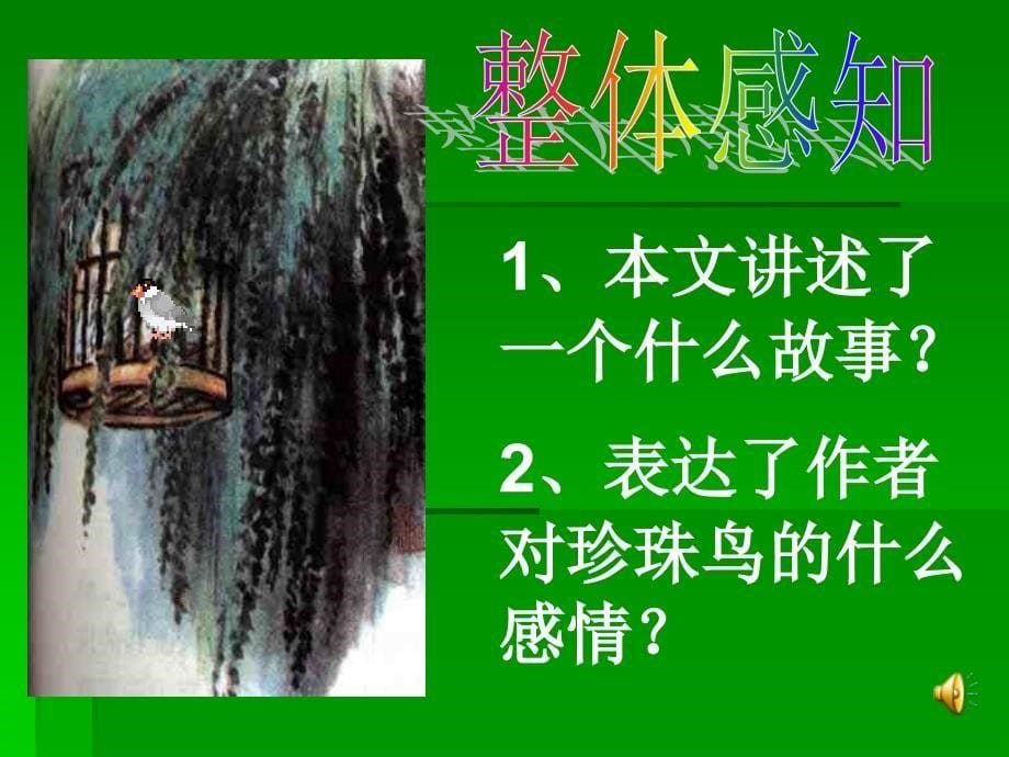 珍珠鸟3教学课件_第5页