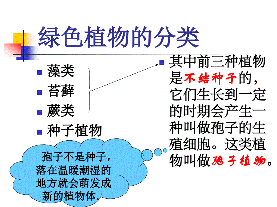 1.3.1藻类、苔藓和蕨类植物_第2页