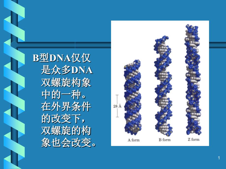 B遗传物质的结构和性质_第1页