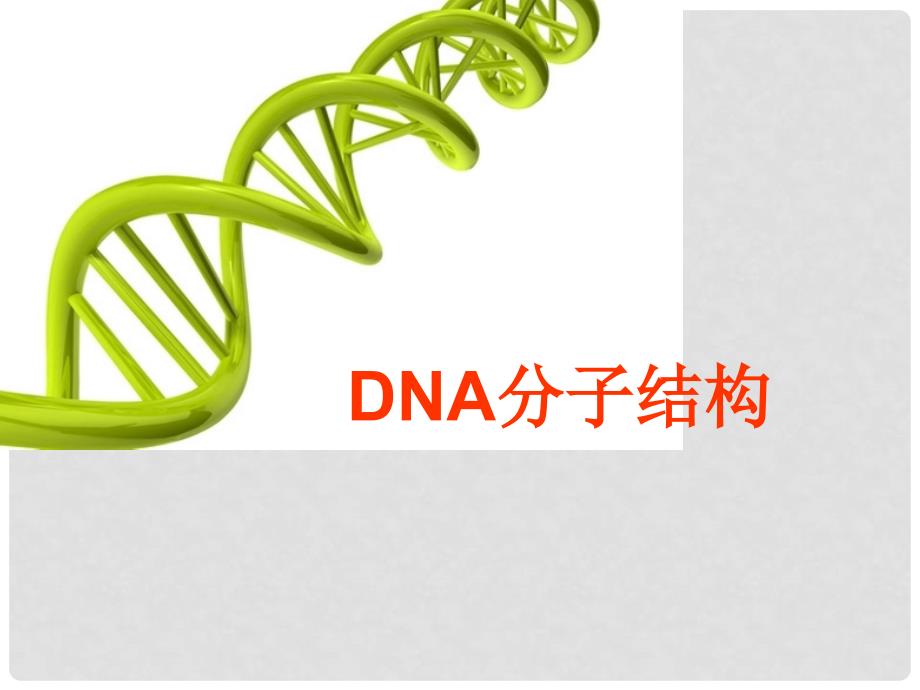 四川省古蔺县高中生物 第三章 基因的本质 3.2 DNA的分子结构（第2课时）课件 新人教版必修2_第1页