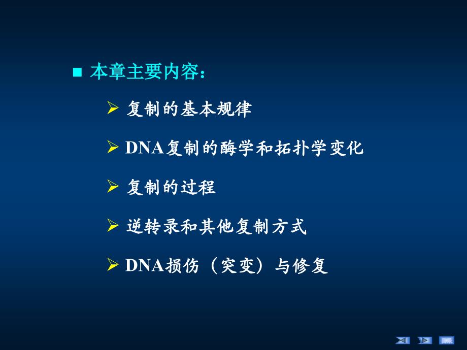 《生物化学》教学课件：第10章DNA的生物合成（11采用）_第3页