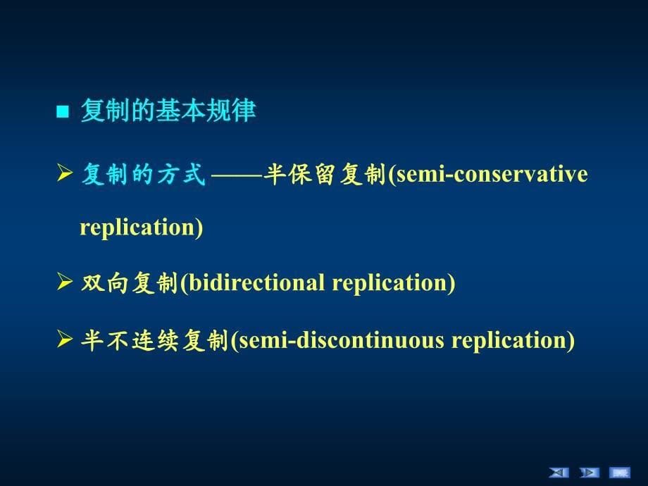 《生物化学》教学课件：第10章DNA的生物合成（11采用）_第5页