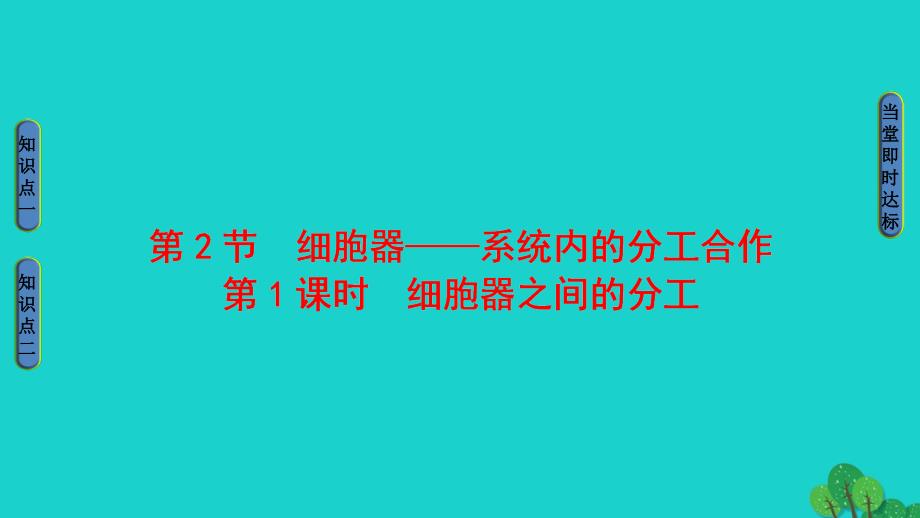 2016-2017学年高中生物第3章细胞的基本结构第2节细胞器--系统内的分工合作第1课时细胞器之间的分工课件新人教版必修1.ppt_第1页