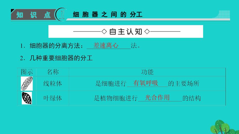 2016-2017学年高中生物第3章细胞的基本结构第2节细胞器--系统内的分工合作第1课时细胞器之间的分工课件新人教版必修1.ppt_第3页